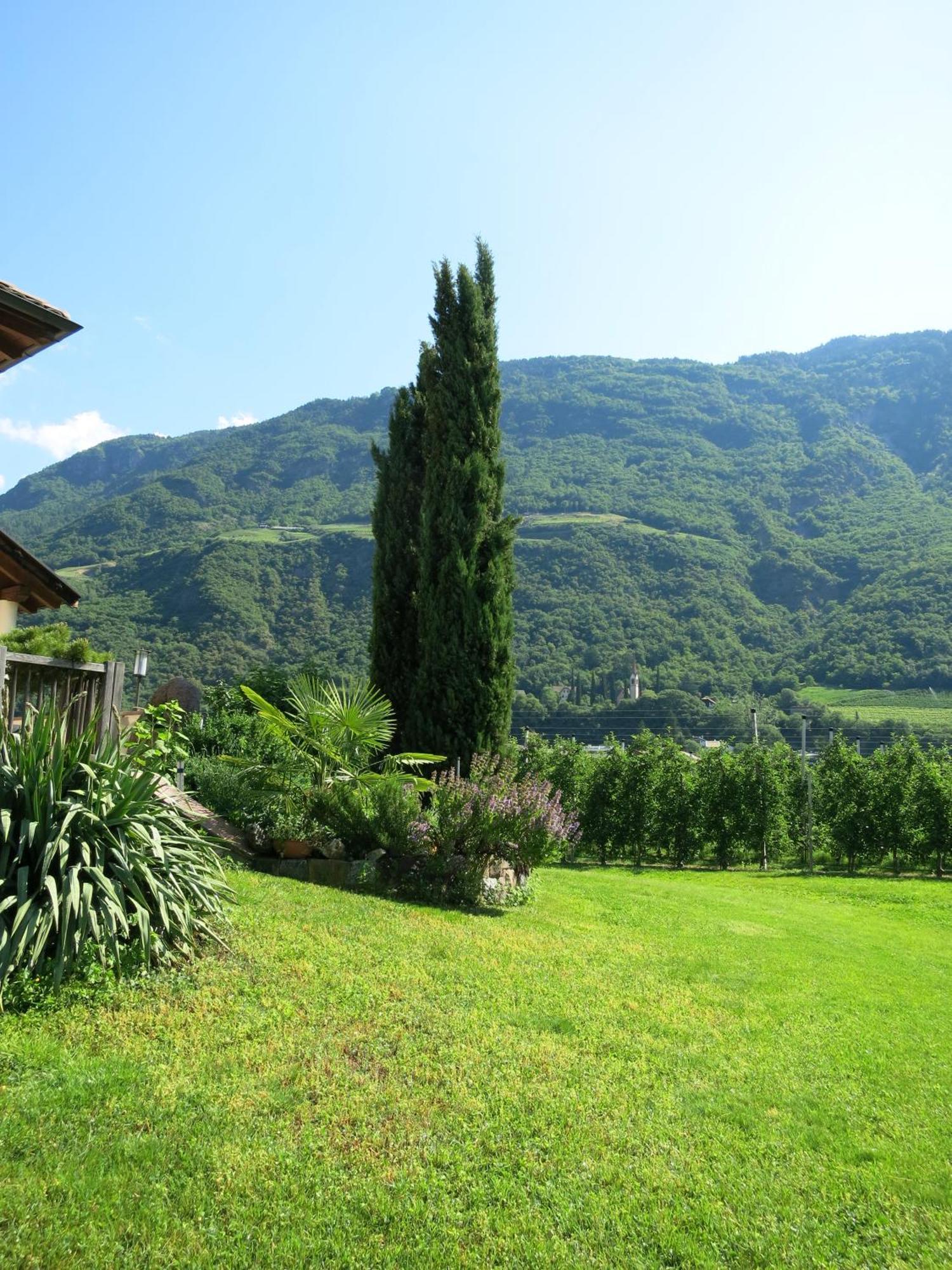 Feldererhof Apartamento Postal / Burgstall Exterior foto