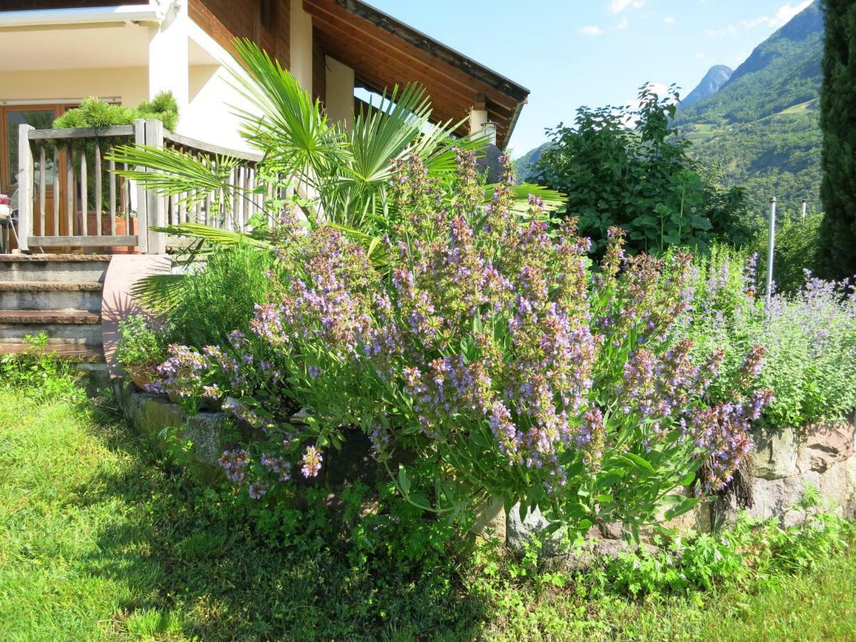 Feldererhof Apartamento Postal / Burgstall Exterior foto